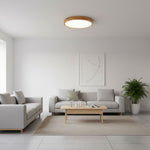 LED Flush Mount Ceiling Light with Rubberwood Frame & Dimmable Acrylic Panel for Bedroom Living Room Dining Room Kitchen Hallway Modern Mini