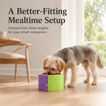 Dotisk 3-Level Adjustable Elevated Slow Feeder Bowl for Cats & Small Dogs - Stainless Steel Mealtime Bowl for Fast Eaters
