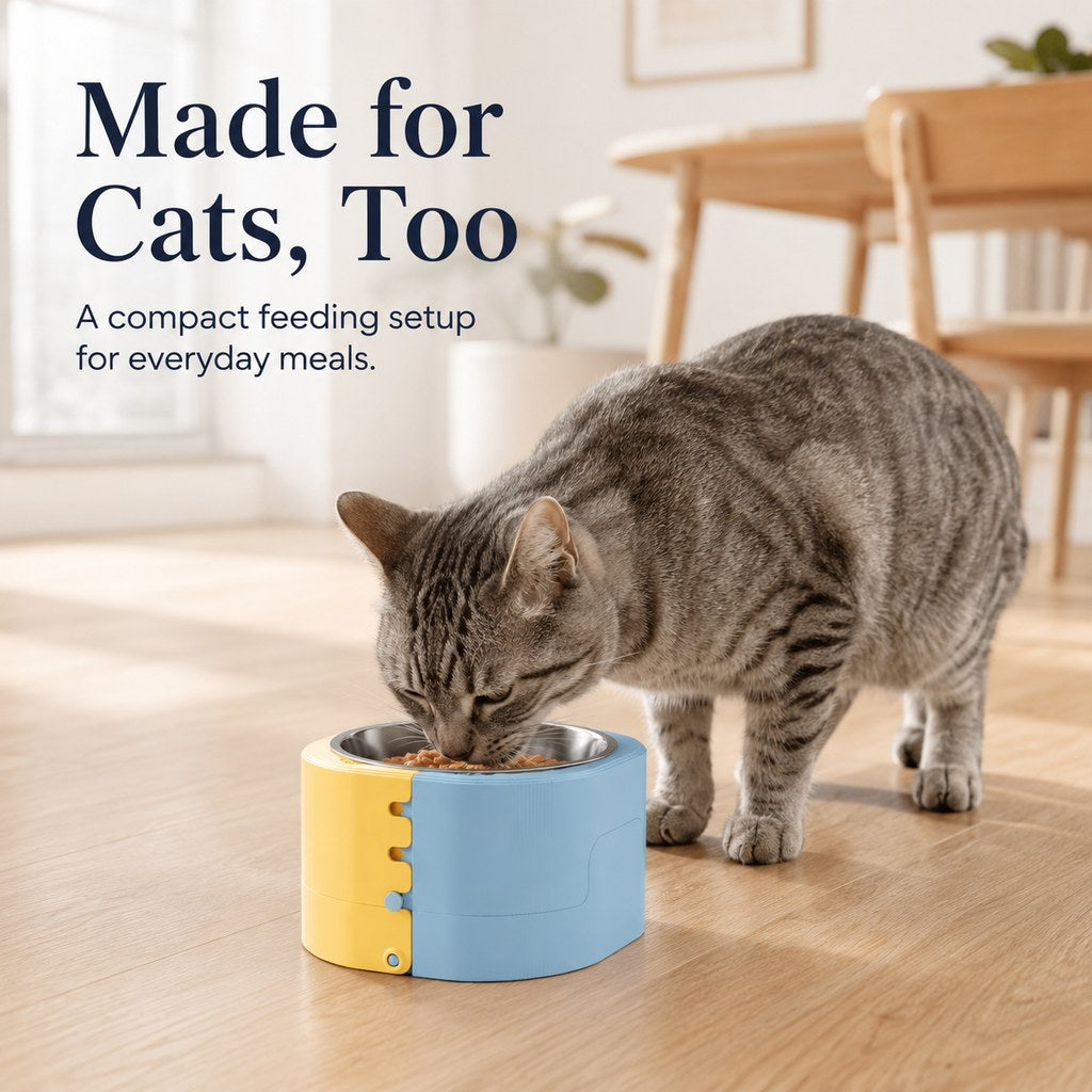 Dotisk 3-Level Adjustable Elevated Slow Feeder Bowl for Cats & Small Dogs - Stainless Steel Mealtime Bowl for Fast Eaters