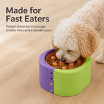 Dotisk 3-Level Adjustable Elevated Slow Feeder Bowl for Cats & Small Dogs - Stainless Steel Mealtime Bowl for Fast Eaters