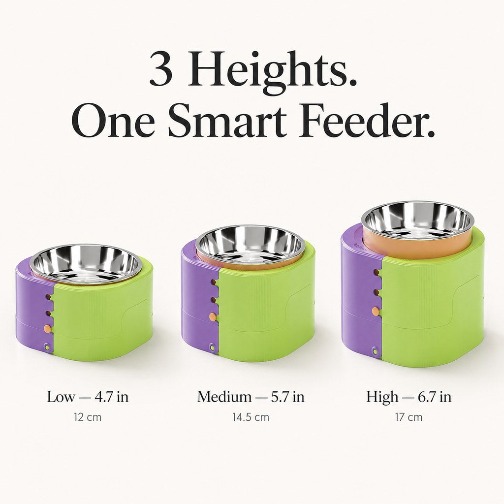 Dotisk 3-Level Adjustable Elevated Slow Feeder Bowl for Cats & Small Dogs - Stainless Steel Mealtime Bowl for Fast Eaters