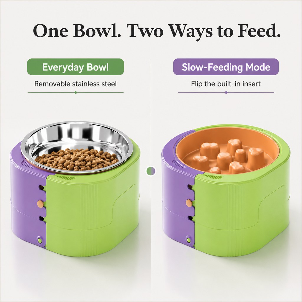 Dotisk 3-Level Adjustable Elevated Slow Feeder Bowl for Cats & Small Dogs - Stainless Steel Mealtime Bowl for Fast Eaters