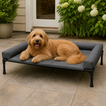 Dotisk Elevated Cooling Mesh Dog Bed (Removable Pillow-Top)
