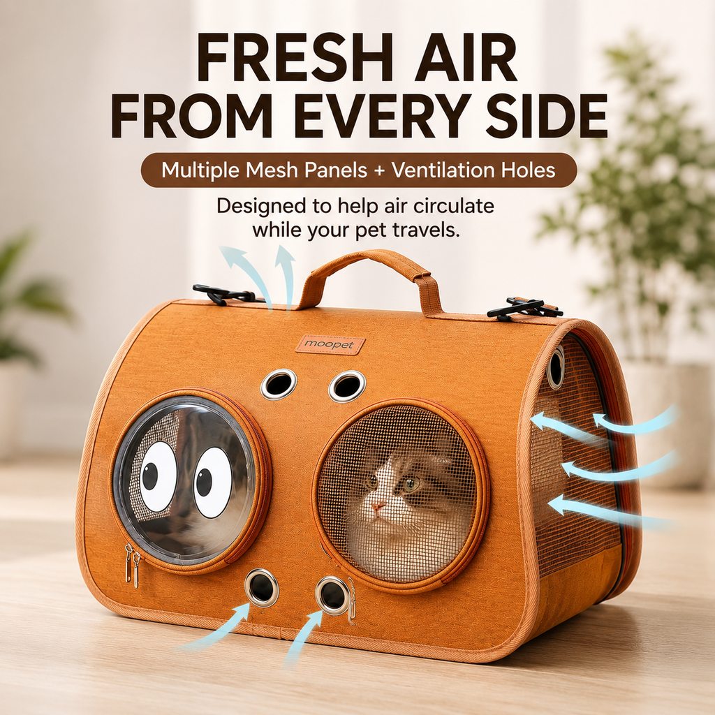Dotisk Breathable Cat Travel Carrier for Road Trips & Vet Visits - Structured Foldable Soft-Sided Pet Bag