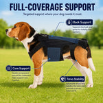 Dotisk Dog Back Support Brace for Senior & Recovering Dogs - Full-Body Mobility Vest for Walking Stability