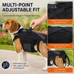 Dotisk Dog Back Support Brace for Senior & Recovering Dogs - Full-Body Mobility Vest for Walking Stability