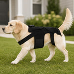 Dotisk Dog Back Support Brace for Senior & Recovering Dogs - Full-Body Mobility Vest for Walking Stability