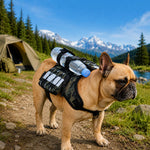 Dotisk Dog Backpack Harness for Hiking & Daily Walks - Reflective Saddle Bag Vest for Carrying Water, Treats & Essentials