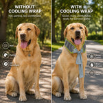 Dotisk Dog Cooling Neck Wrap for Summer Walks, Hiking & Beach Days – Water-Activated Cooling Collar Scarf for Hot Weather Comfort