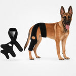 Dotisk Adjustable Dog Joint Support Brace for Daily Walks & Senior Leg Stability