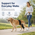 Dotisk Adjustable Dog Joint Support Brace for Daily Walks & Senior Leg Stability