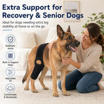 Dotisk Adjustable Dog Joint Support Brace for Daily Walks & Senior Leg Stability