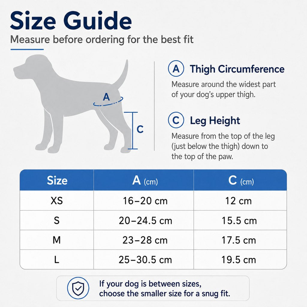 Dotisk Adjustable Dog Joint Support Brace for Daily Walks & Senior Leg Stability
