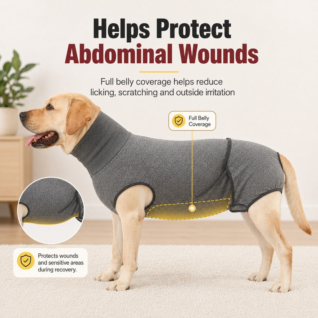 Dotisk Dog Recovery Suit with Pad Layer for Post-Surgery, Heat Cycles & Licking Protection