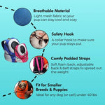 Dog Carrier Backpack for Walking, Hiking & Biking – Ventilated Pet Travel Bag with Safety Leash Clip & Padded Straps – Adjustable Fit
