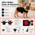 Dotisk FrenchieGlow Red Light Comfort Vest for French Bulldogs - USB-Powered or Built-In Battery At-Home Back, Belly & Hip Comfort After Walks