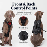 Dotisk AirTag-Compatible Escape-Resistant Dog Harness for Outdoor Walks - Secure Control for Dogs That Pull