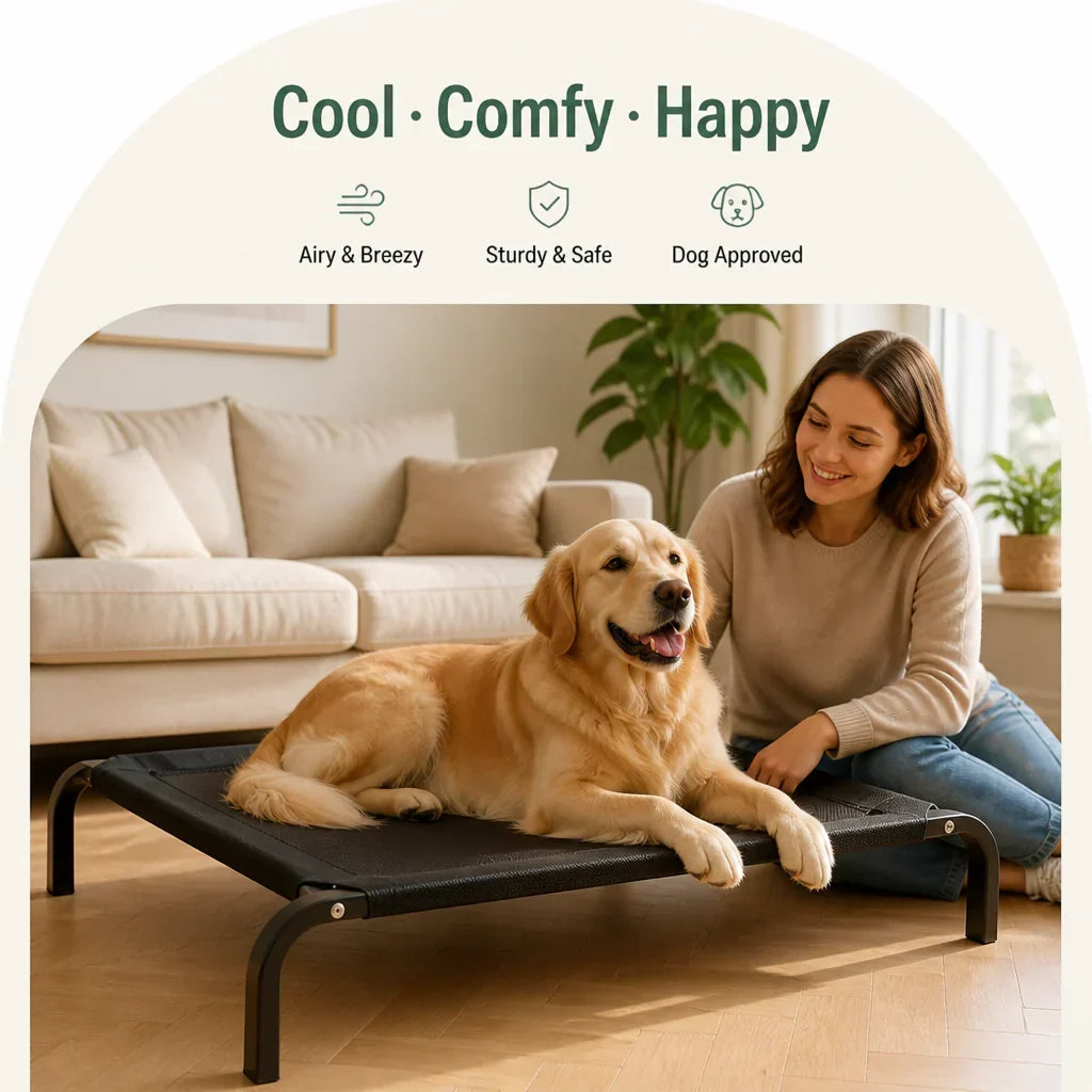 Dotisk Elevated & Foldable Canopy Dog Bed