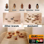 Roach Gel Bait Station Trap for Kitchen Home Pest Control Colony Elimination Insect Killer Indoor Outdoor Use Effective Cockroach Exterminat