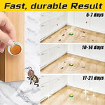 Roach Gel Bait Station Trap for Kitchen Home Pest Control Colony Elimination Insect Killer Indoor Outdoor Use Effective Cockroach Exterminat