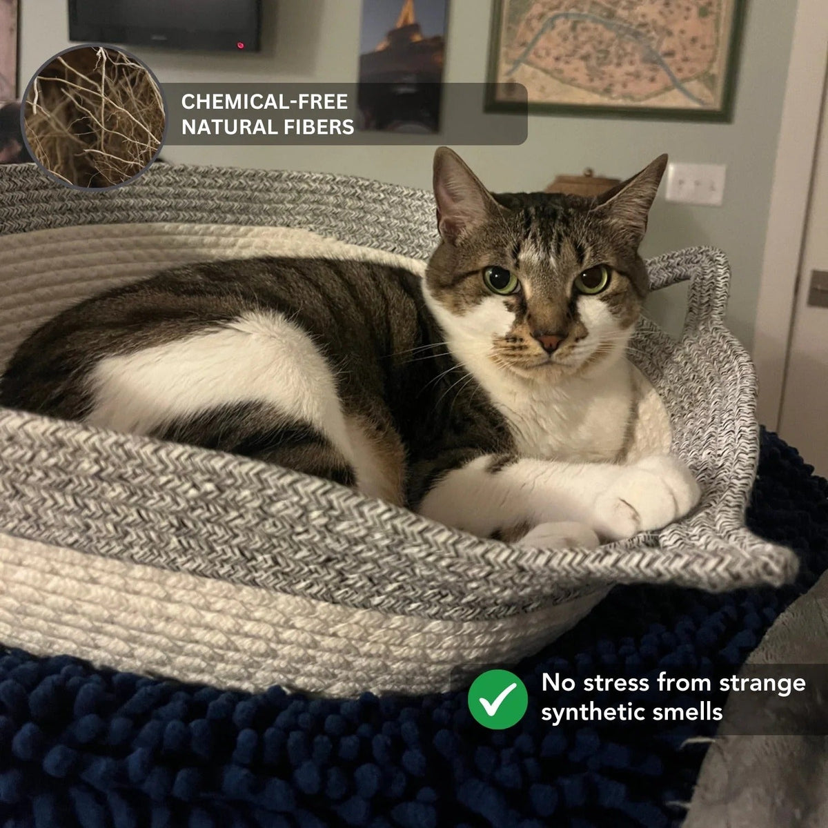Natural Rope Cat Basket Bed