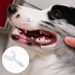 Pet Dental Mouth Opener