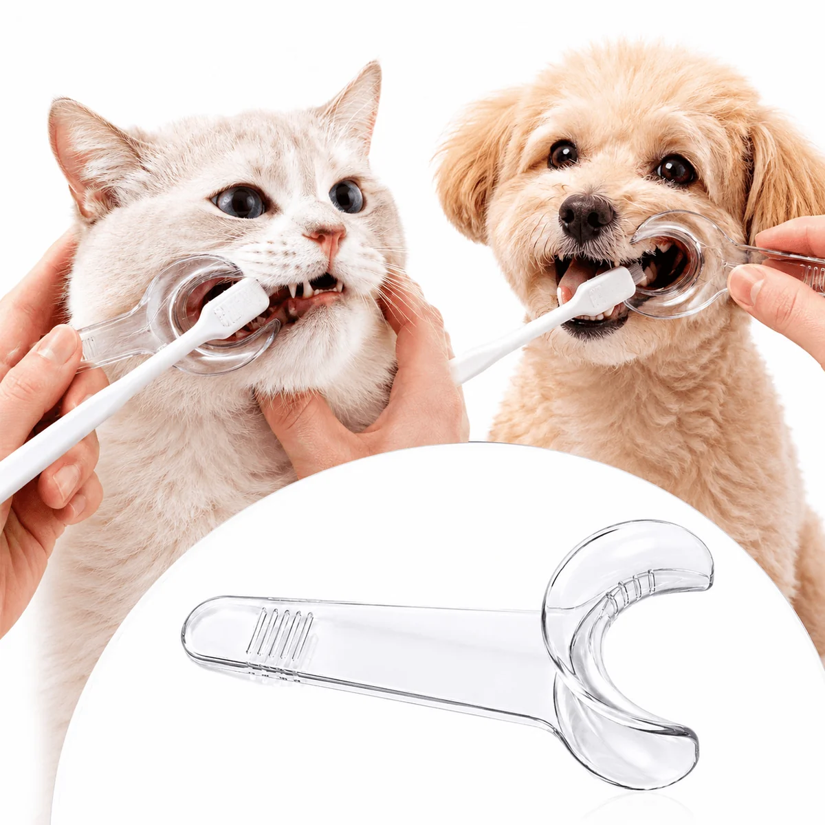 Pet Dental Mouth Opener