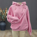 Premium Pet Carrier Hoodie