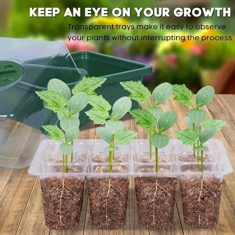Greenhouse Seedling Box