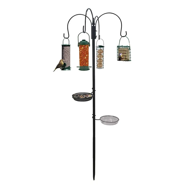 Bird Feeding Station