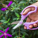 Pruning Shears