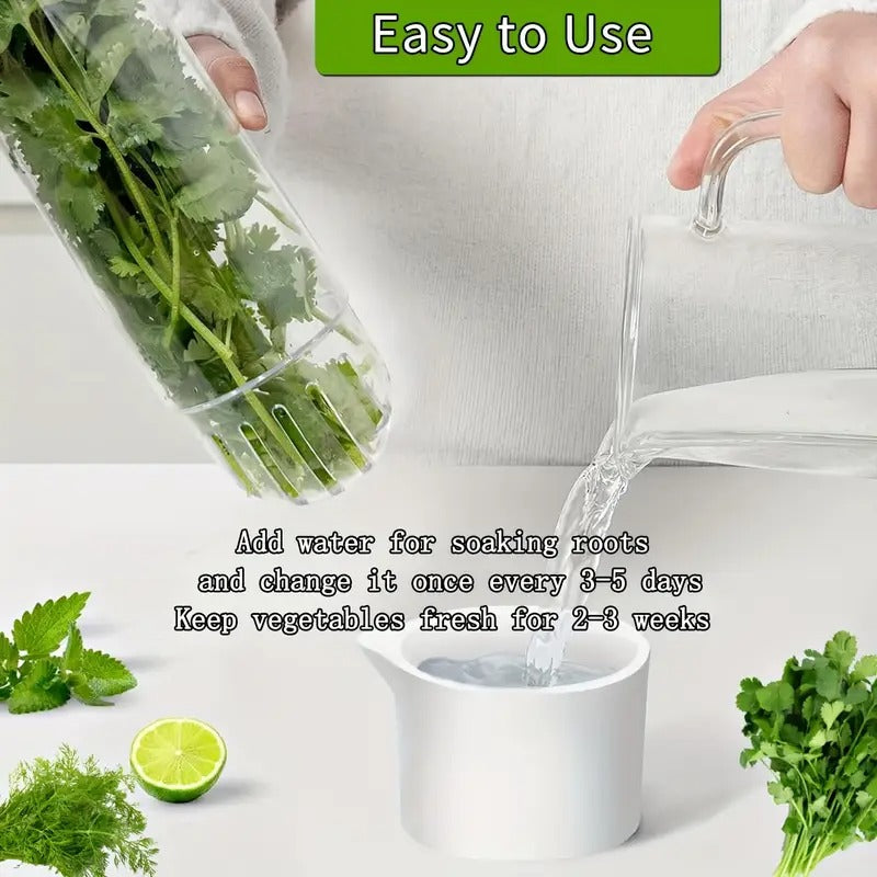 Herb Fresh-Keeping Box
