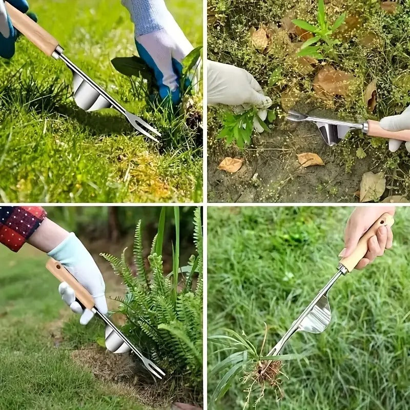 Stainless Steel Weeder
