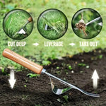Stainless Steel Weeder