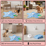 Automatic Dog Toy for Stress Relief and Playtime Fun