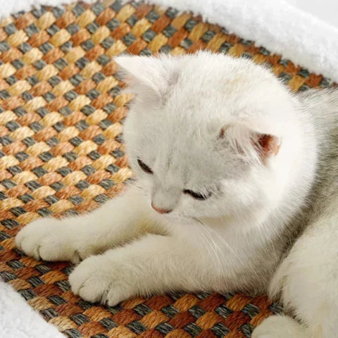 Cat Scratcher Bed with Plush Cushion and Scratch Surface for Indoor Cats, Cozy Lounge and Claw Pad Combo for Furniture Protection