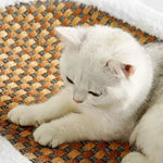 Cat Scratcher Bed with Plush Cushion and Scratch Surface for Indoor Cats, Cozy Lounge and Claw Pad Combo for Furniture Protection