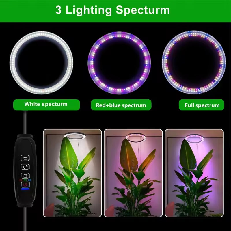 Adjustable Full Spectrum LED Grow Light Stand with Timer & Dimmer – 3 Modes, 10 Brightness Levels, Telescoping 8-65 in Height for Indoor