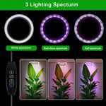 Adjustable Full Spectrum LED Grow Light Stand with Timer & Dimmer – 3 Modes, 10 Brightness Levels, Telescoping 8-65 in Height for Indoor