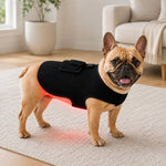 Dotisk Pet Red Light Therapy Vest for Dogs & Cats – 660nm + 850nm Near-Infrared for Back, Hip, Joint & Muscle Comfort – USB or Rechargeable