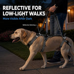 Dotisk Full Body Dog Lift Harness for Stairs & Car - Mobility Support for Weak Hind Legs