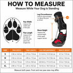 Dotisk Adjustable Tension-Dial Dog Paw-Lift Support Boots – For Indoor Floors & Outdoor Walks, Paw Dragging & Scuffing Support