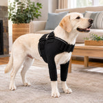 Dotisk Senior Dog Shoulder & Front Leg Support Brace for Cold Walks & Daily Comfort