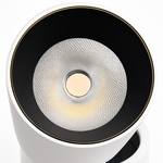 Rotatable Mini Track Light 12W LED Directional Spot Fixture for Kitchens Bedrooms Living Rooms Adjustable Accent Lighting Metal Ceiling Wall