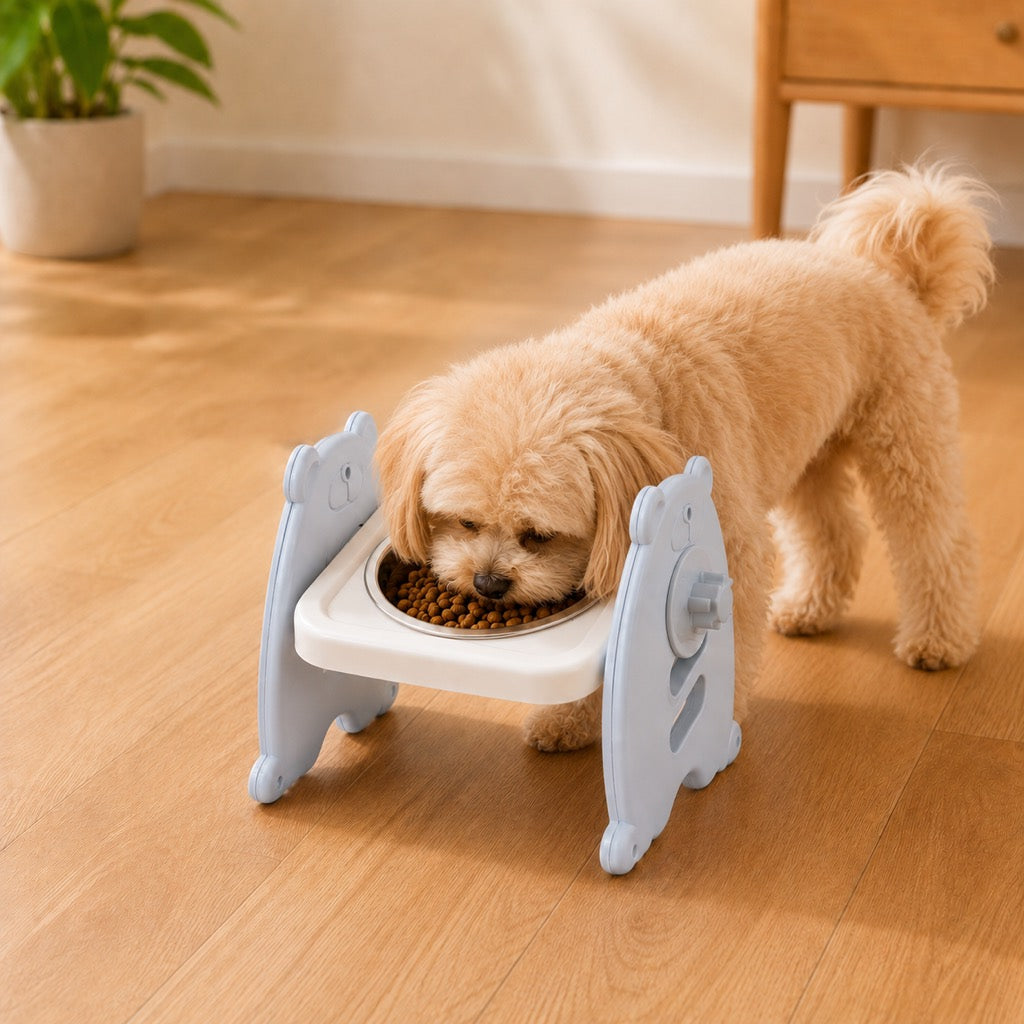 Dotisk Adjustable Elevated Stainless Steel Pet Bowls for Cats & Small Dogs - Tilted Feeding Station for Easier Mealtime & Less Floor Mess