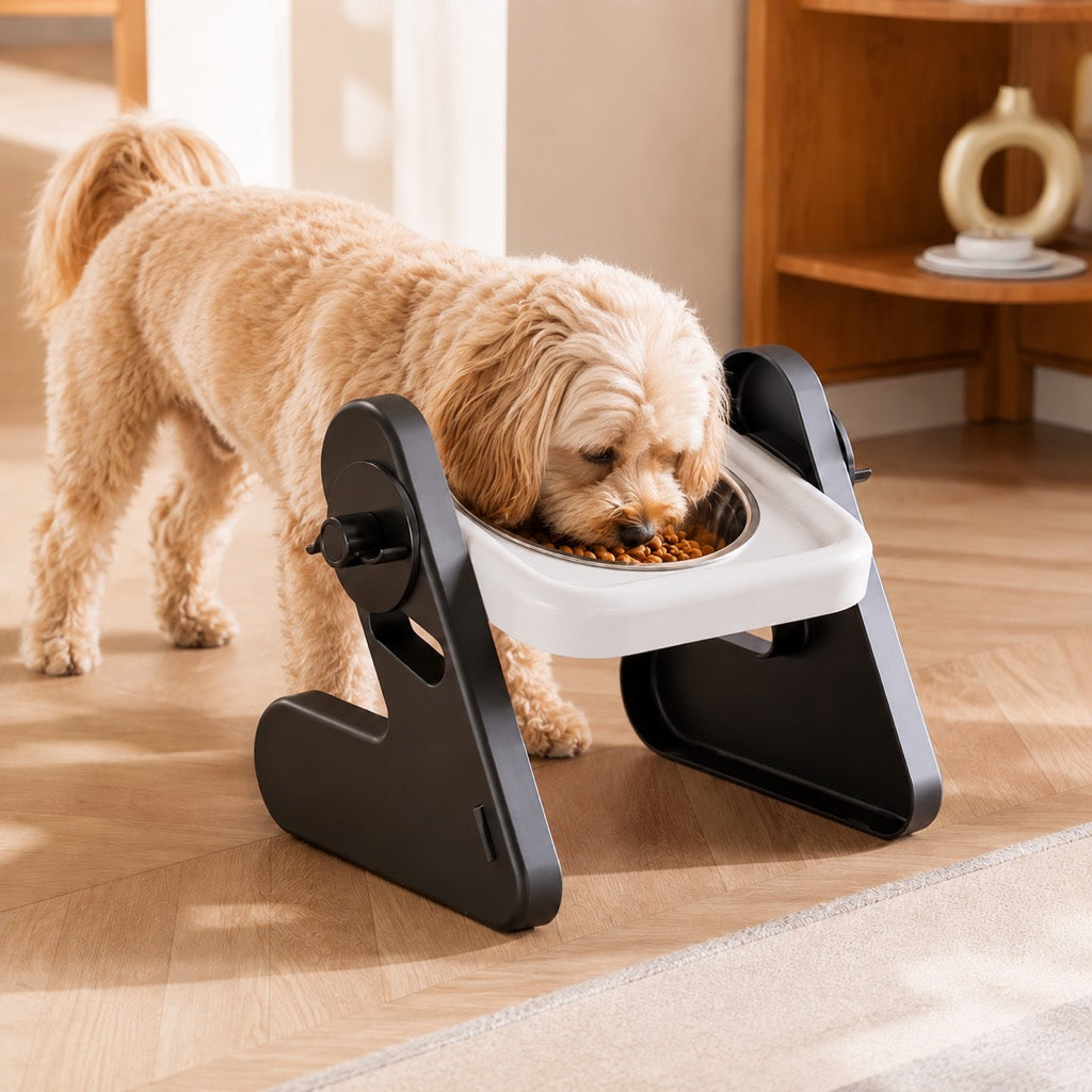 Dotisk Adjustable Elevated Stainless Steel Pet Bowls for Cats & Small Dogs - Tilted Feeding Station for Easier Mealtime & Less Floor Mess