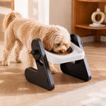 Dotisk Adjustable Elevated Stainless Steel Pet Bowls for Cats & Small Dogs - Tilted Feeding Station for Easier Mealtime & Less Floor Mess