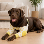 Dotisk Padded Dog Elbow Protector Sleeves for Hard Floors - Dual Front-Leg Coverage for Pressure & Rubbing