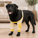 Dotisk Padded Dog Elbow Protector Sleeves for Hard Floors - Dual Front-Leg Coverage for Pressure & Rubbing